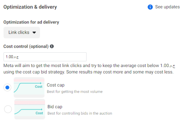 استراتيجيات المزايدة