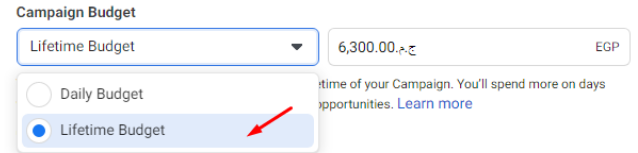 استراتيجيات المزايدة