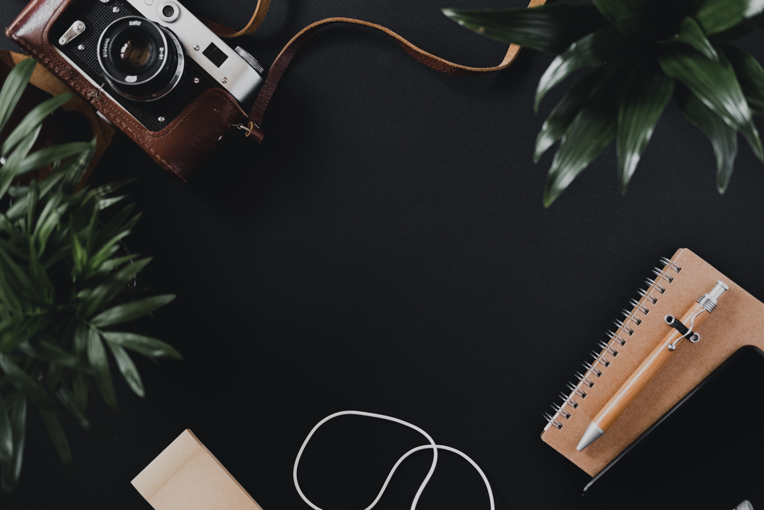 اهلا بك في نوفل سيو